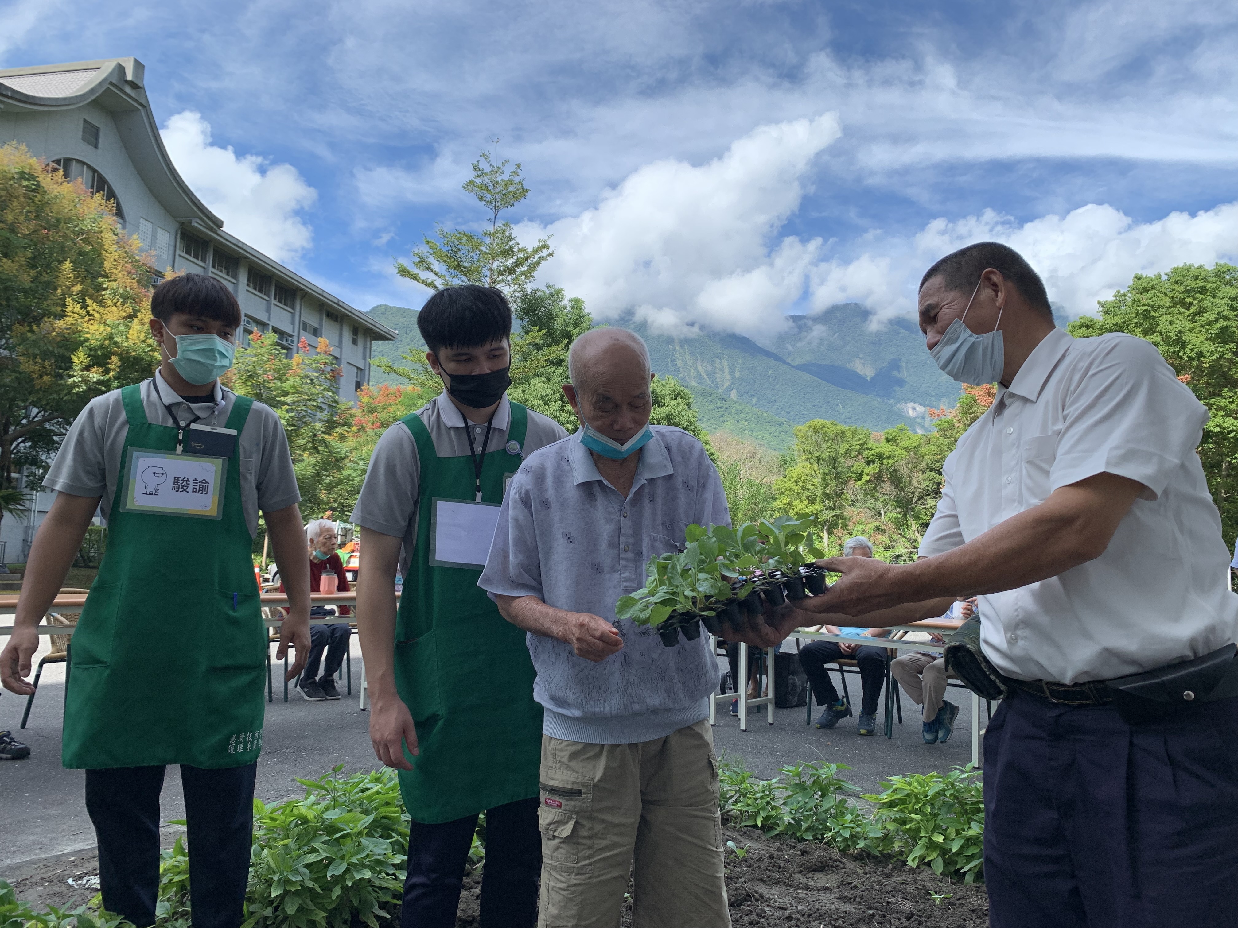 大愛菜園長者種植蔬菜