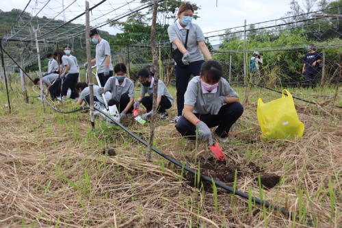 慈大學生走入靜浦 幫助部落種植防風林